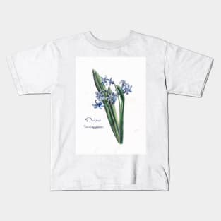 Wild hyacinth Kids T-Shirt